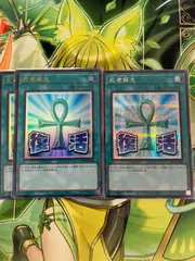 遊戯王 死者蘇生 3枚セット