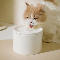 Item thumbnail for item 573912db-ed53-42b5-9359-1ec8505ccc57