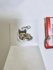 ハイキュー アクリル