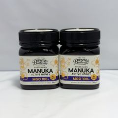 新品_B品_2個セット】マヌカハチミツ_MGO550+250g_NZ - メルカリ