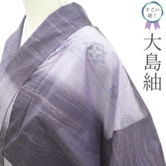 着物と帯 時流】SK26670◇正絹 夏着物 小紋◇前幅広め 美品 - メルカリ
