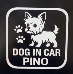 コージー様専用　確認用データ