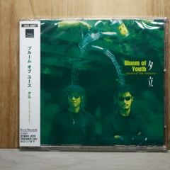 国内盤CD☆ダーザイン/DASEIN□ HYPER BEAT ROCK (CCCD) 【AVCD17192