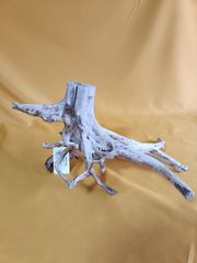 Item thumbnail for item 010797a3-138b-49a2-bfa6-5380895a2b1f