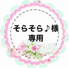 そらそら♪様専用