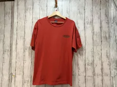 Patagonia パタゴニア 半袖Tシャツ S1841 Lサイズ USA製 90s LARGE 