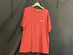 Patagonia パタゴニア 半袖Tシャツ Lサイズ アウトドア 90s USA製  