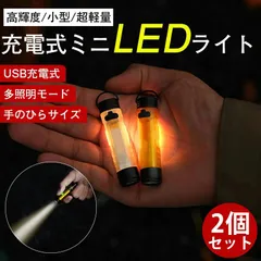 【2個セット】ミニ懐中電灯 LEDライト ハンディライト 小型 高輝度 USB充電式 軽量 キーホルダー 携帯 アウトドア 防水 防犯 防災 登山 夜釣り キャンプ コンパクト 停電 防災対策 アウトドア お出かけ キャンプ 夜釣り 母の日 父の日 敬老の日