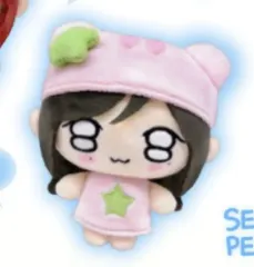 (未開封) アイヴ プチぬいぐるみ イソ フルセット