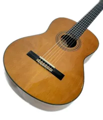 2026年最新】Aria 12弦ギターの人気アイテム - メルカリ