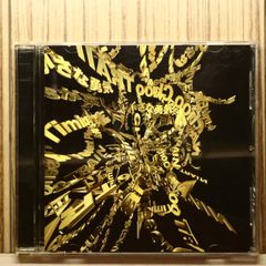 국내반 CD 나카니시 케이조/Keizo Nakanishi ■ SONGS [PICL1174/4988102172152]U58203