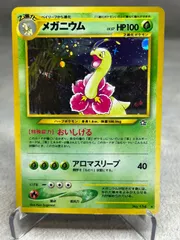 十字ホロあり ポケモンカード メガニウム ☆ 旧裏 キラ 第1弾拡張