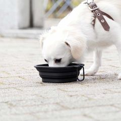 Item thumbnail for item fe42cd20-3809-4a47-aed6-4c83f3b64605