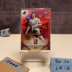 元ヤクルトスワローズ3アレックス・ラミレス選手直筆サイン入りカード