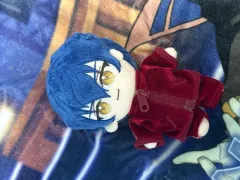 あんさんぶるスターズ！！(あんスタ) 漣 ジュン ぬいぐるみ