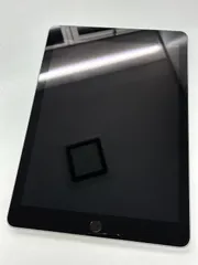 iPad 第6世代 32GB Cellular SIMフリー A1954 スペースグレイ 完全ジャンク 部品取り