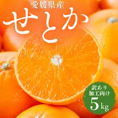【せとか】5kg 規格外品 加工利用 訳あり家庭用 柑橘 みかん 愛媛県産 農家直送