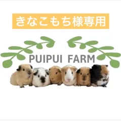きなこもち様専用ページ