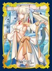 2026年最新】fgo スリーブ モルガンの人気アイテム - メルカリ