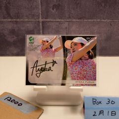 Item thumbnail for item 4929e8ac-8f64-493e-8d41-b289ed2b4d3c