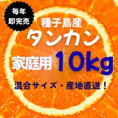 種子島産【家庭用】タンカン10Kg✨箱満杯詰！（長田園芸）