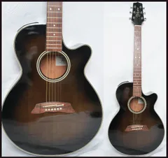 2026年最新】takamine pt-106の人気アイテム - メルカリ