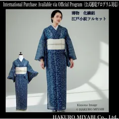 タ-39薄物　化繊　絽　型染め風　江戸小紋　フルセット　4点　夏着物