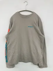 patagonia パタゴニア Tシャツ/カットソー S グレー