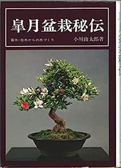 2026年最新】皐月盆栽の人気アイテム - メルカリ
