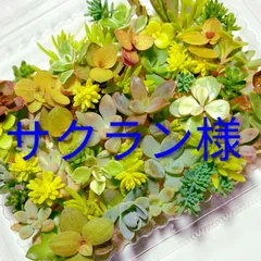 サクラン様専用