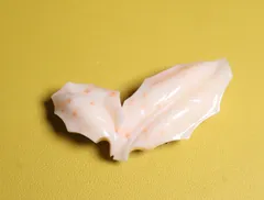 本珊瑚　帯留め