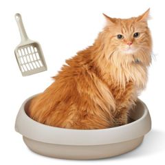 Item thumbnail for item 0f7e6871-a292-40ba-92a5-fcf8121b2ad4