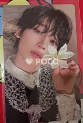 Seventeen ディノ セブチ HAPPY BURSTDAY Weverse ラキドロ - メルカリ