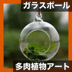 【水耕栽培アート】多肉植物マイクロ風景 ガラスボール ペンダント 8cm/10cm 室内装飾 花瓶 照明 パーティー装飾【10cm】