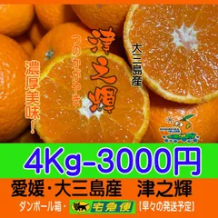 2026年最新】津之輝の人気アイテム - メルカリ