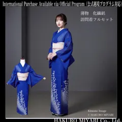 薄物　化繊　絽　訪問着　フルセット　4点　美品　フ9-5