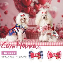 Item thumbnail for item 88af17b5-fba2-4842-a8c8-feee7240f10c