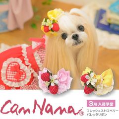 Item thumbnail for item 98a05c58-8ce9-489b-91f4-9419827c357c