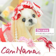 Item thumbnail for item ae6caedb-cd94-4637-9367-cf56772bbbc9