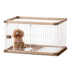 Item thumbnail for item 25afd7a5-037d-44c0-8efa-f04afaf73b55