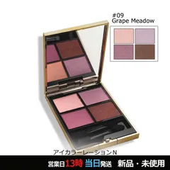 アイカラーレーションＮ 09 Grape Meadow メール便