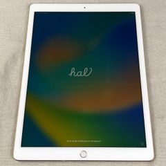 おまけ付き【☆ホワイトスポット有】iPad Pro 10.5インチ 64GB Wi-fi +