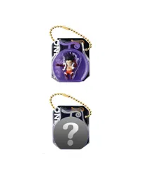 From TV animation ONE PIECE ワンピの実ミクロ ブリスターチャーム 2種 ガチャ