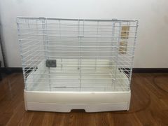 Item thumbnail for item 4dd698cd-3b2f-4712-bfb1-c42feda2b4e1