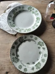 2026年最新】サルグミンヌ ゼラニウムの人気アイテム - メルカリ