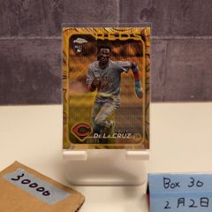 TOPPS JAPAN EDITION エリーデラクルーズ レリック 25枚限定 - メルカリ