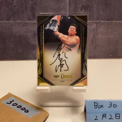 2026年最新】藤波辰巳 サインの人気アイテム - メルカリ