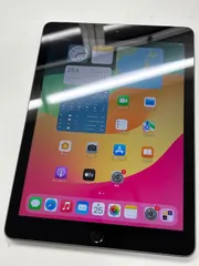 Apple iPad 第6世代 32GB Wi-Fi+Cellular A1954 スペースグレイ 動作確認済み