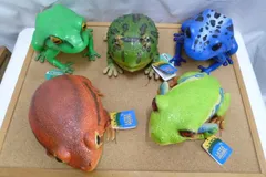 タグ付き 現状品 カエル BIG フィギュア 天然ゴム製 リアル ぬいぐるみ 5匹 セット まとめ