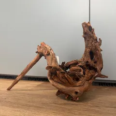 2026年最新】ホーンウッド adaの人気アイテム - メルカリ